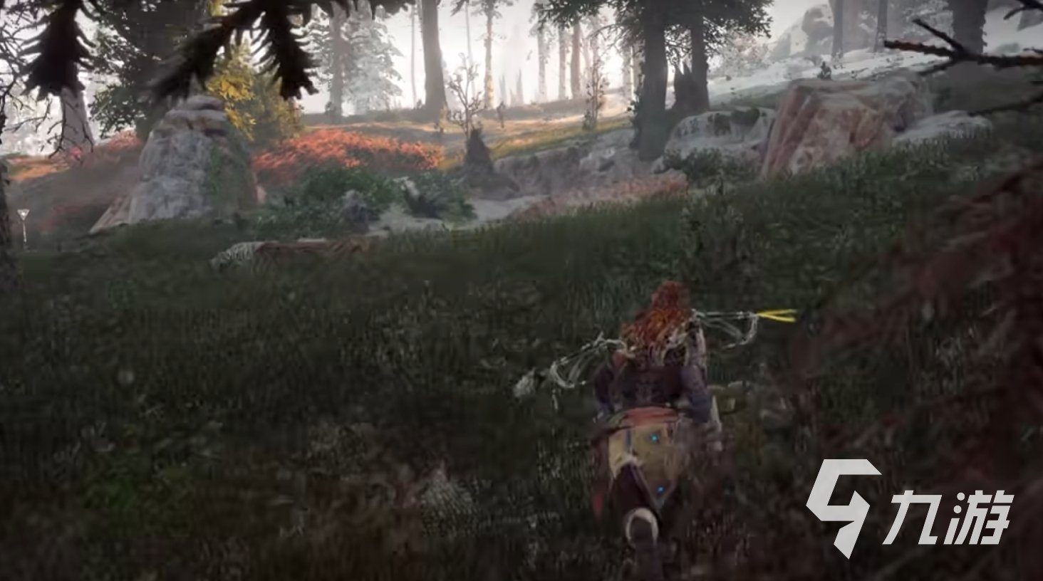 巫师3：狂猎 截图13